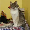 Отзыв от Нина Жданова